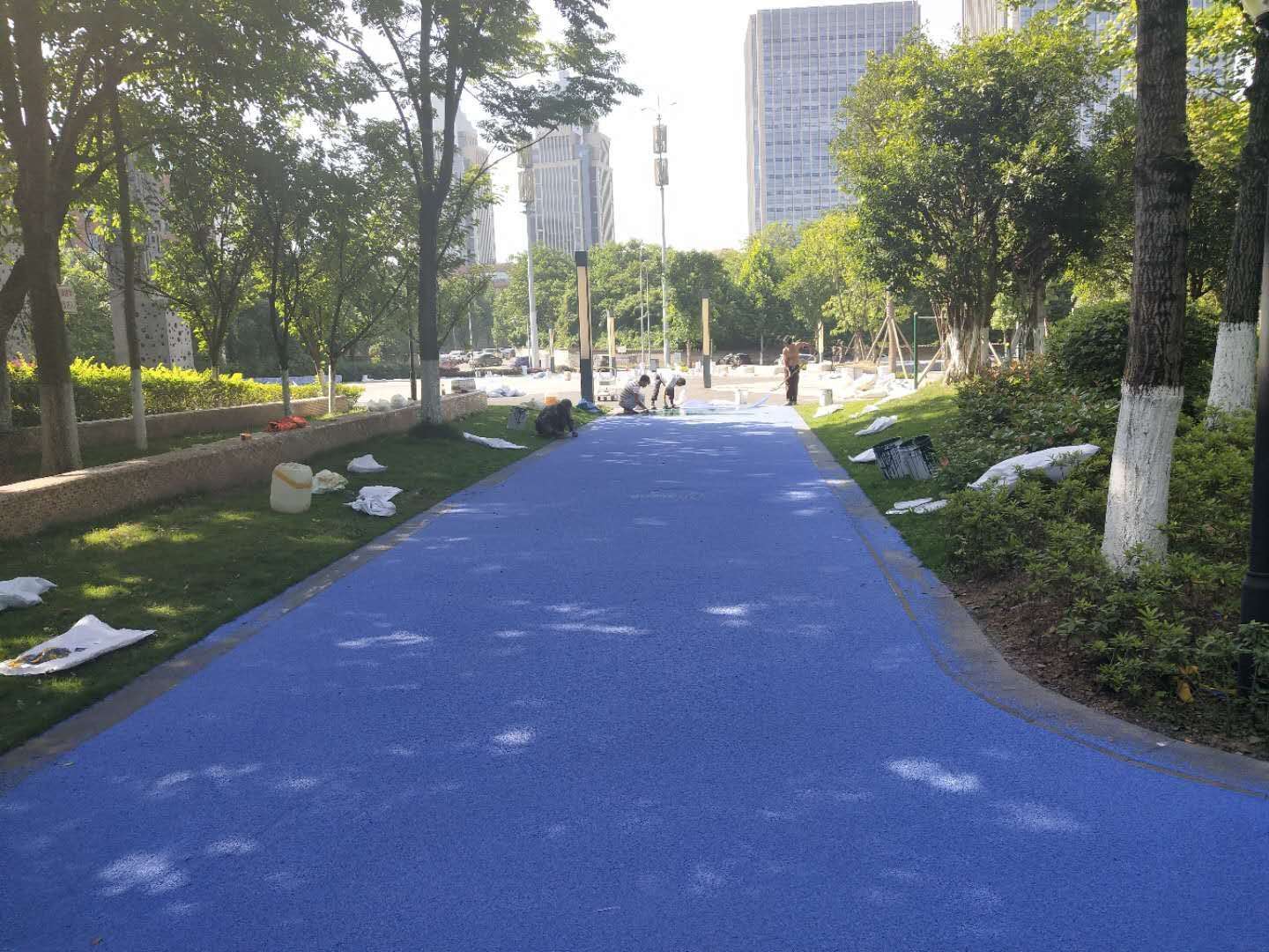 青羽体育公园园林绿化景观工程 彩色景观步道项目