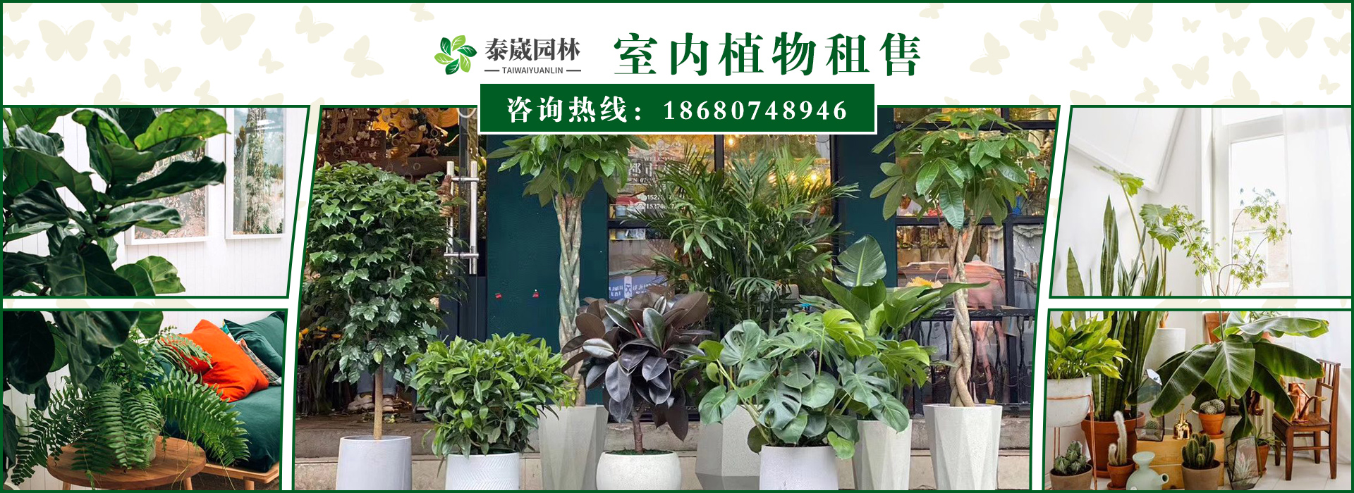 重庆泰崴园林绿化工程有限公司